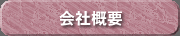 ЊTv